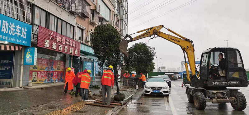 綿陽達(dá)坤園林綠化有限公司