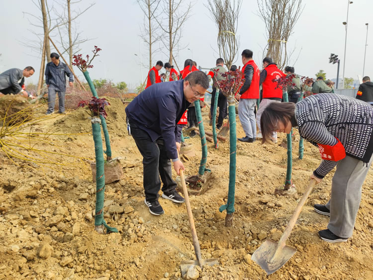 達(dá)坤公司組織參加“我為綿州植棵樹，共建綠美科技城”義務(wù)植樹活動(dòng)