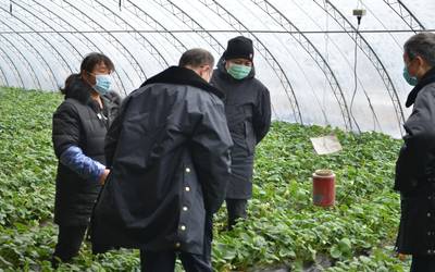 北京市农业农村局开展多项农产品质量检查