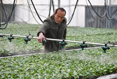 陕西省这6个县(市)被命名为第二批国家农产品质量安全县