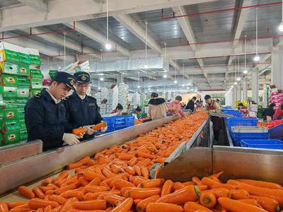 2022年广东农产品进出口规模居全国首位